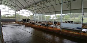 Instalaciones y establos para ganado